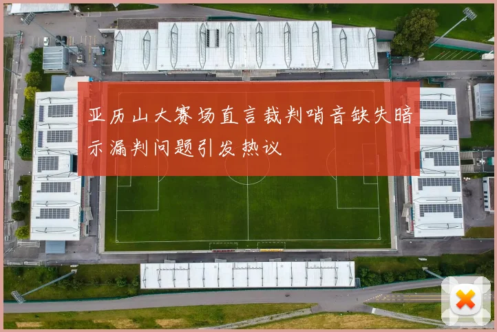 亚历山大赛场直言裁判哨音缺失暗示漏判问题引发热议